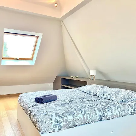 Villa Piscine Privee 8-10 Pers Strasbourg 10 Min *